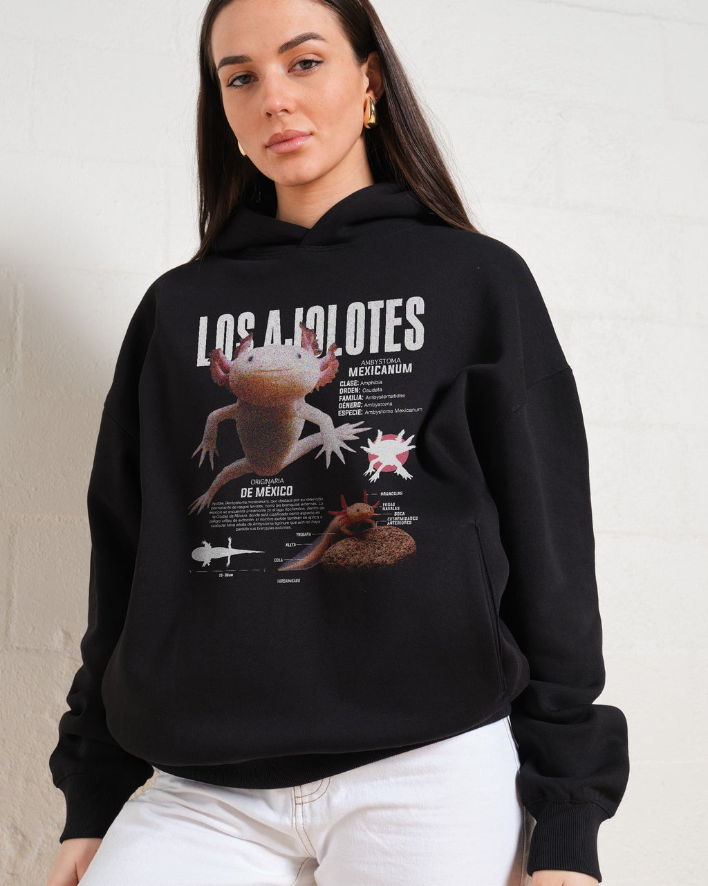 Los Ajolotes Hoodie product image 5
