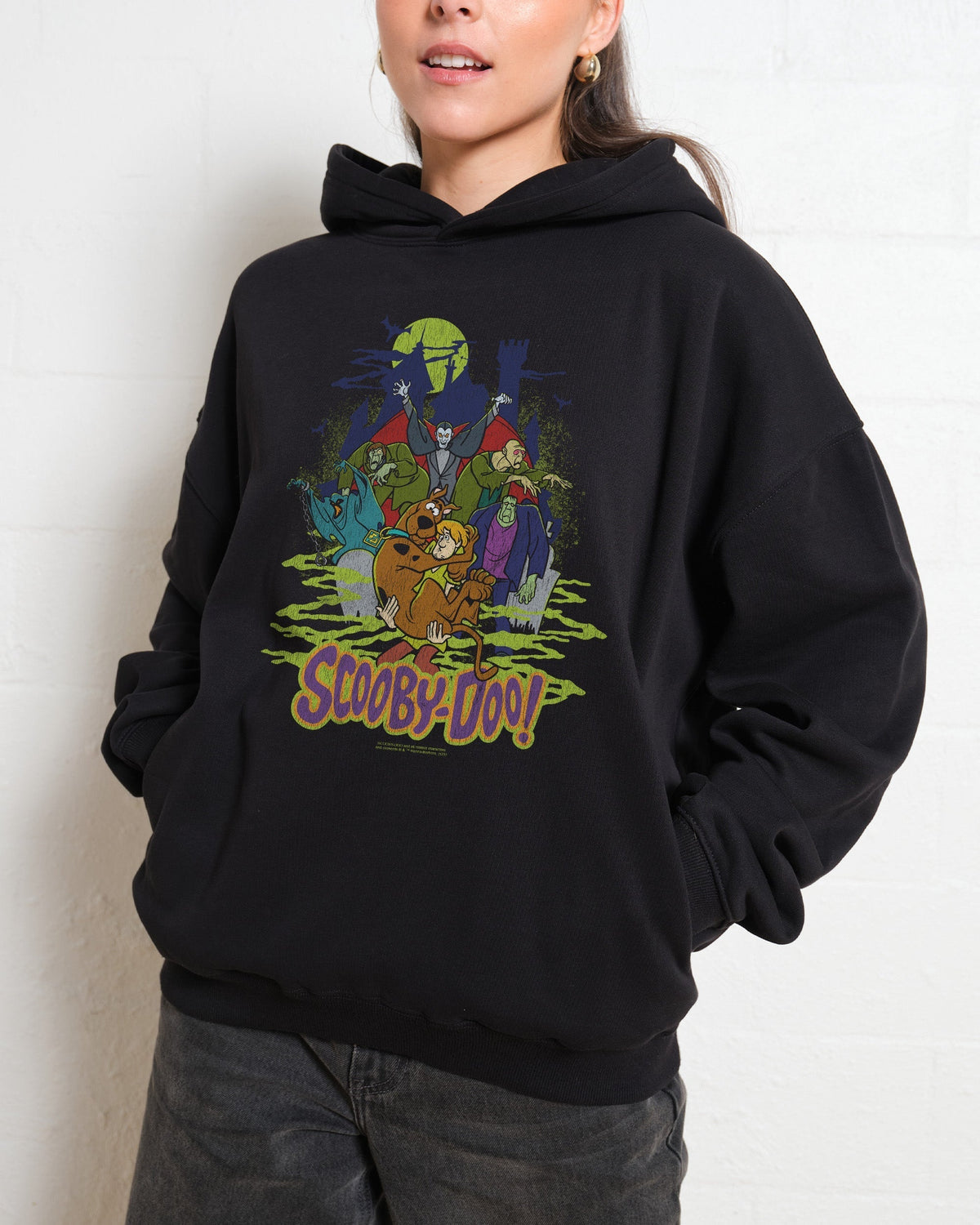 Zoinks Hoodie product image 1