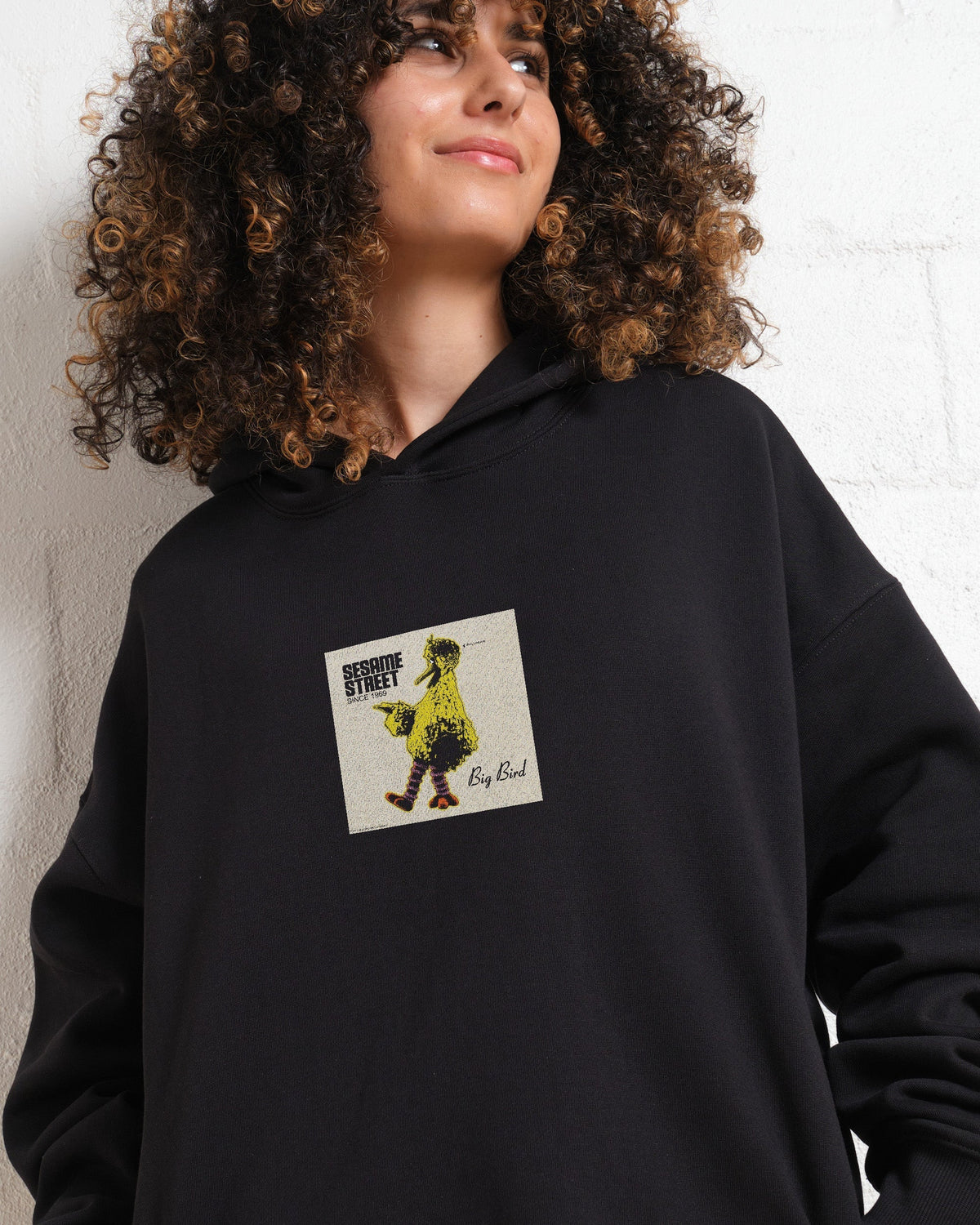 Big Bird Underground Hoodie product image 2