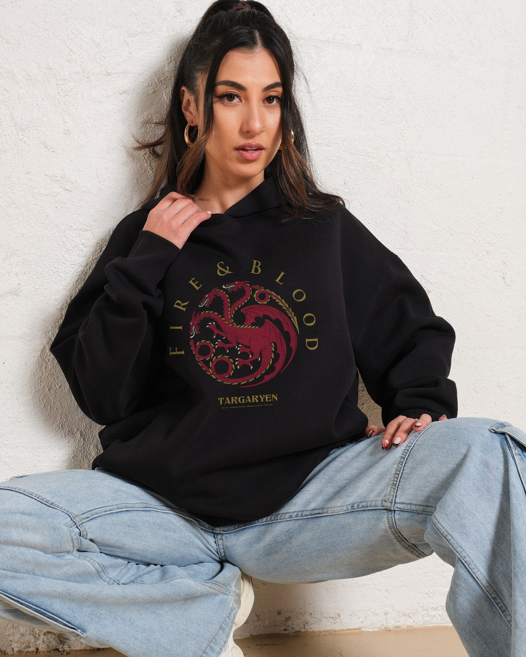 House Targaryen Hoodie product image 1