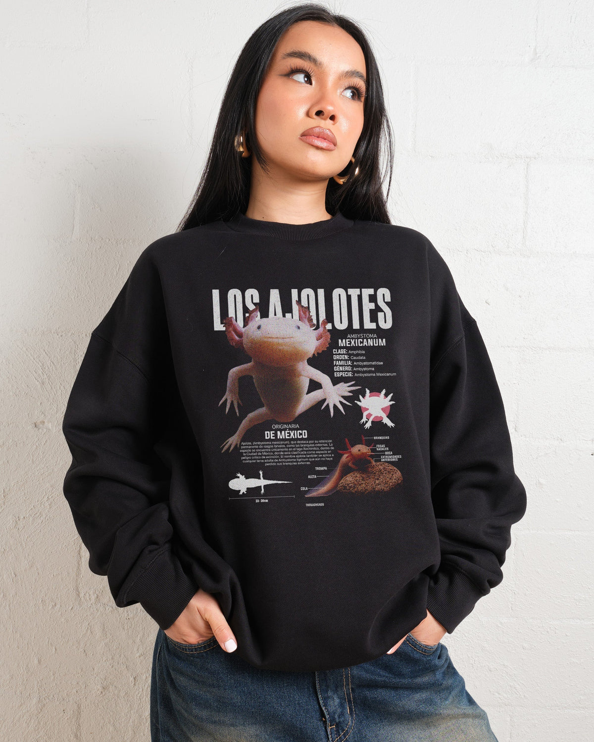 Los Ajolotes Sweatshirt product image 4