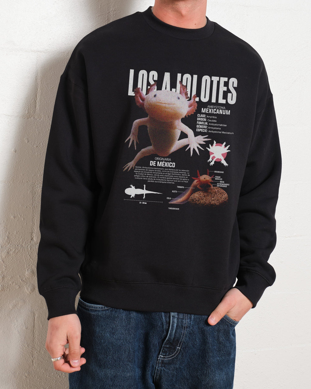 Los Ajolotes Sweatshirt product image 3