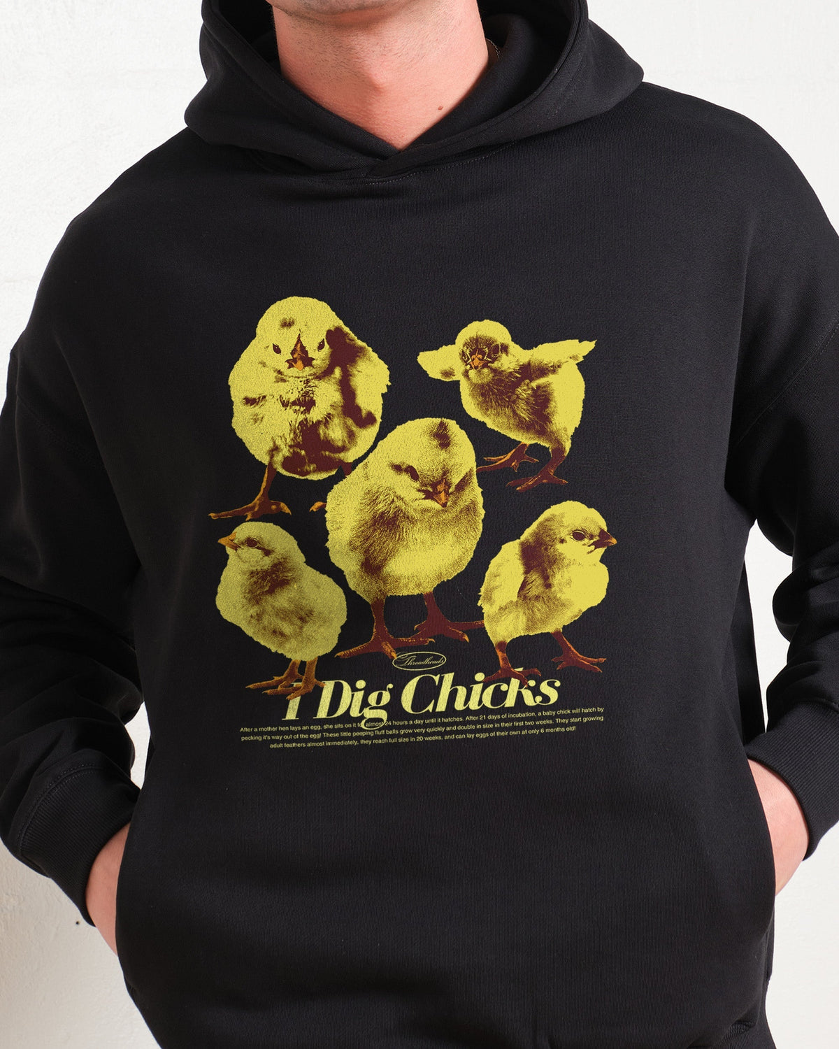 I Dig Chicks Hoodie product image 2