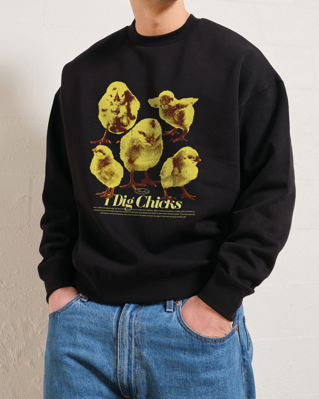 I Dig Chicks Sweatshirt product image 2
