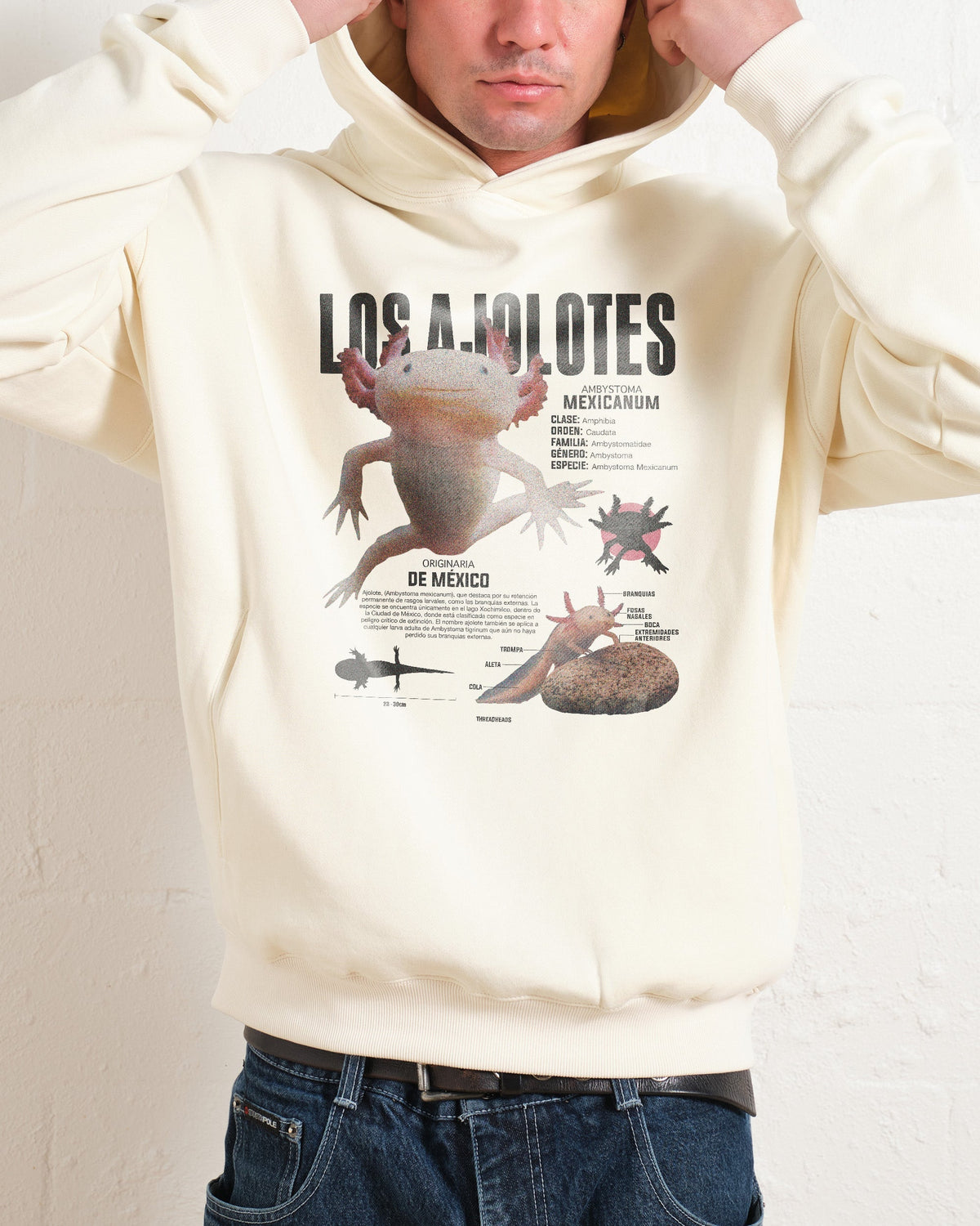Los Ajolotes Hoodie product image 3